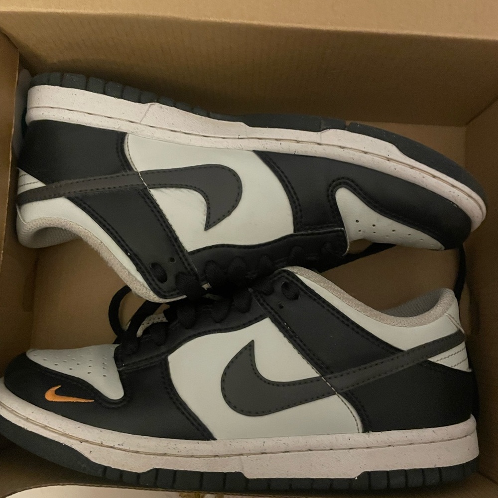Nike Dunks Big Kids